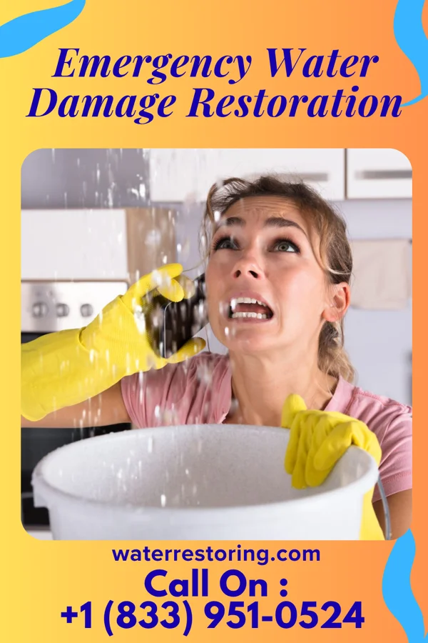 Emergency Water Damage Restoration in Stonefort, IL