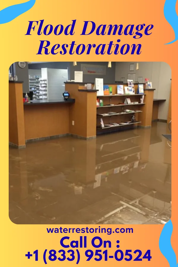 Flood Damage Restoration in Stonefort, IL