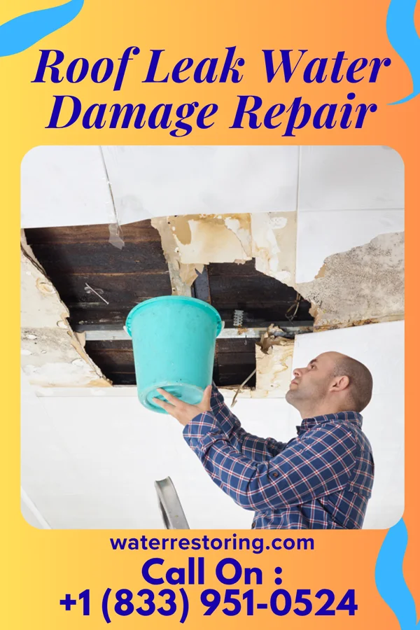 Roof Leak Water Damage Repair in Stonefort, IL