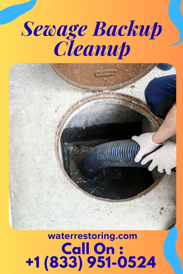 Sewage Backup Cleanup in Stonefort, IL